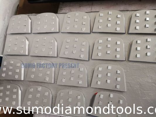 Lavina Chip PCDs Magnetic Connection Diamond Grinding Shoes fast change